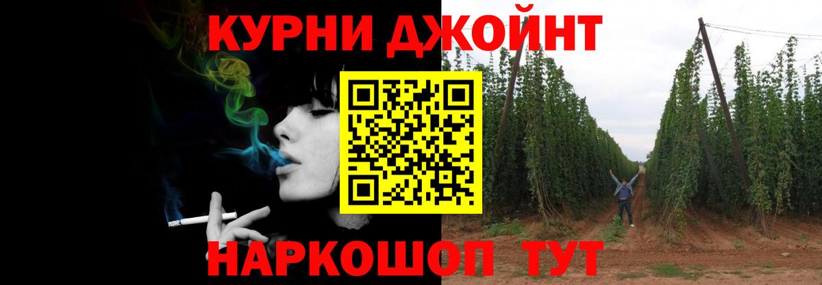 Конопля сатива Шахты